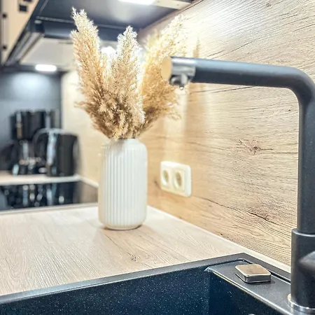 Triton Souterrain 09 דירה בולטנהאגן